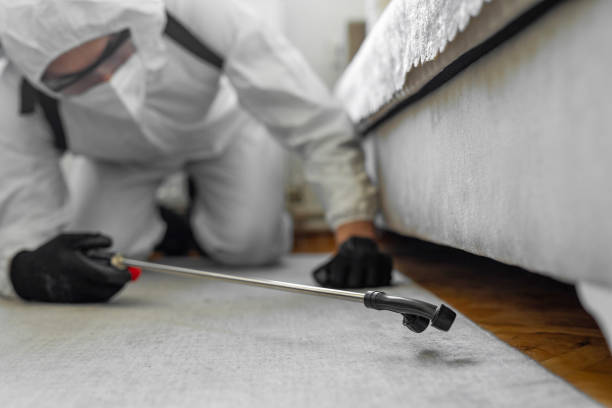 Professional Termite Control technician working in Forked River, NJ